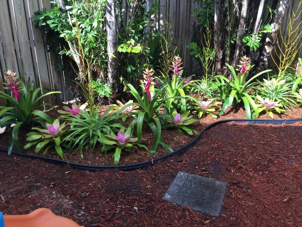 Top-rated landscaping services experts serving Miami, FL - Beautiful Gardens and Lawn Care
