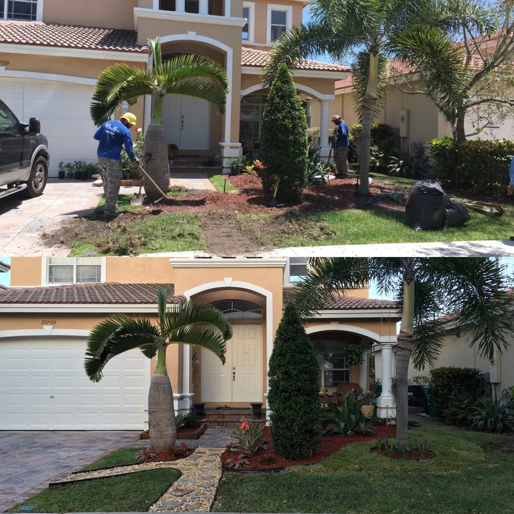 Professional yard maintenance in Miami, FL by Beautiful Gardens and Lawn Care