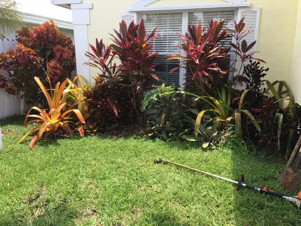 Affordable landscape design in Miami, FL - Beautiful Gardens and Lawn Care