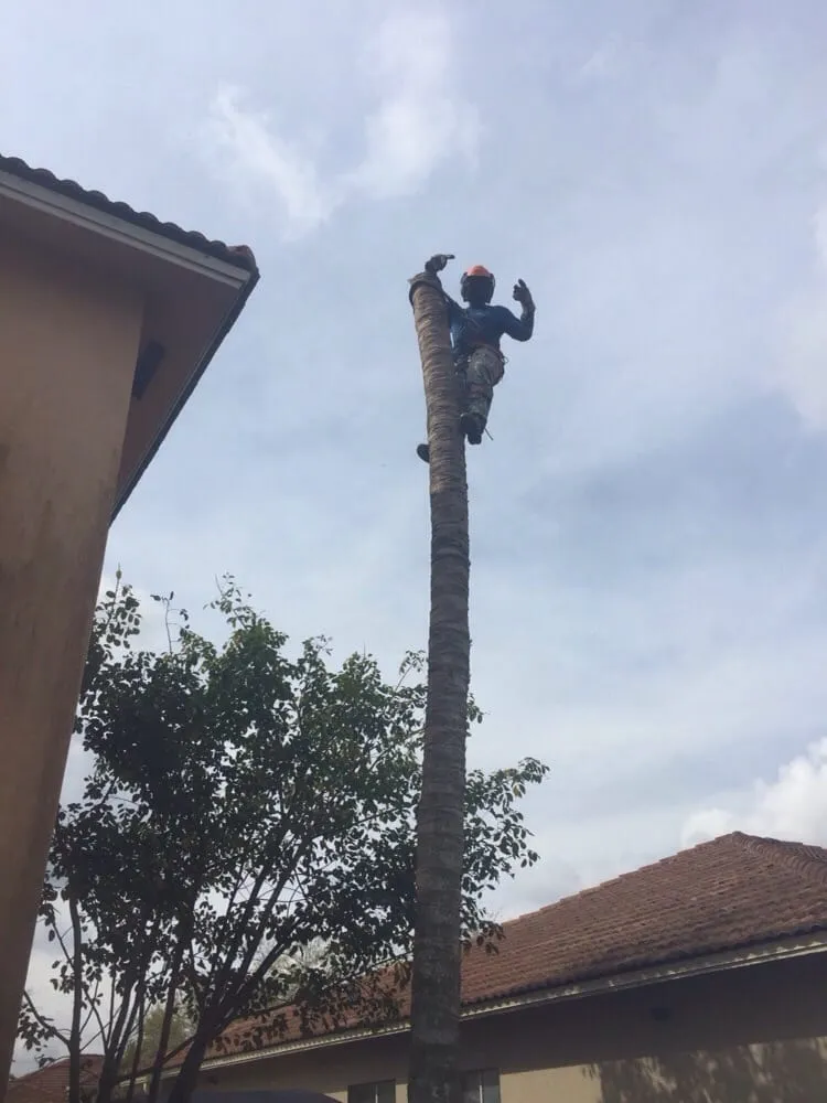 Affordable lawn care service experts serving Miami, FL - Beautiful Gardens and Lawn Care