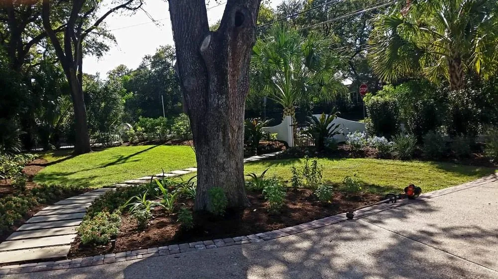 Top-rated lawn care service experts serving Austin, TX - Beautiful Green Landscaping