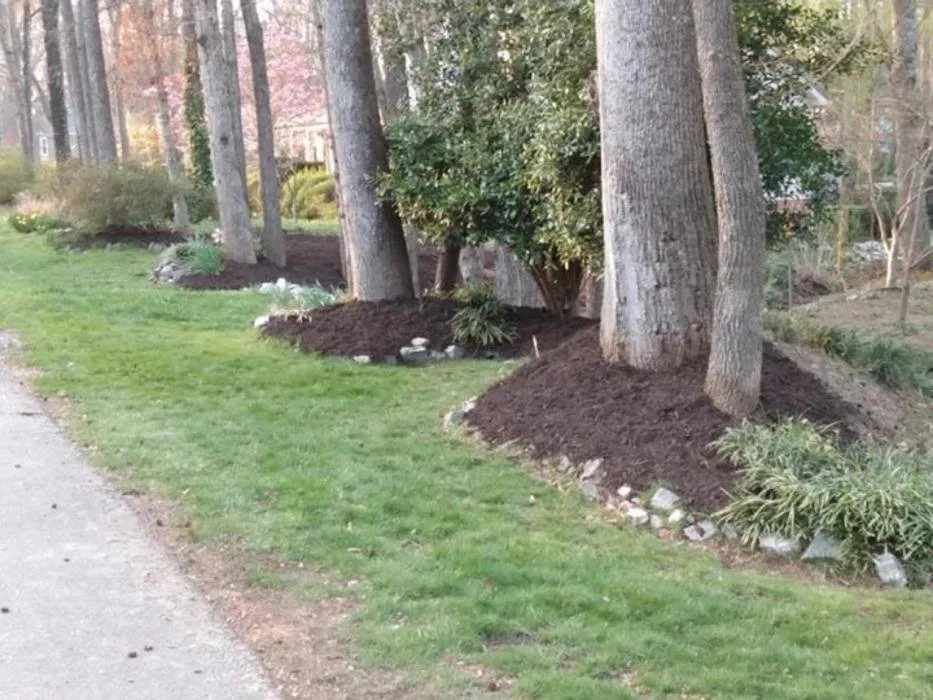 Expert yard cleanup service for year-round maintenance across Greenville, SC - Beautiful Help
