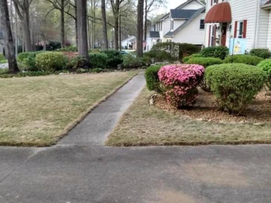 Expert landscaping services for homes in Greenville, SC by Beautiful Help