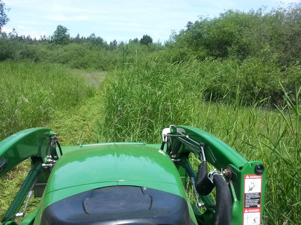 Expert landscape design experts serving Eugene, OR - Beautiful House Lawn Care