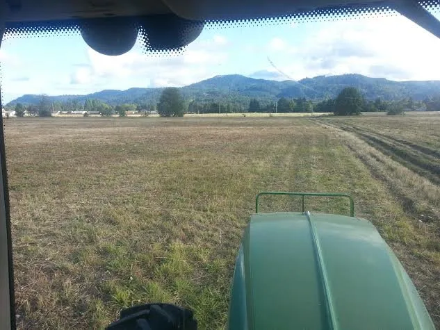 Affordable lawn mowing service for outdoor upgrades in Eugene, OR by Beautiful House Lawn Care