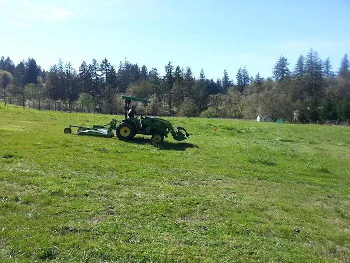 Reliable yard cleanup service near you across Eugene, OR - Beautiful House Lawn Care