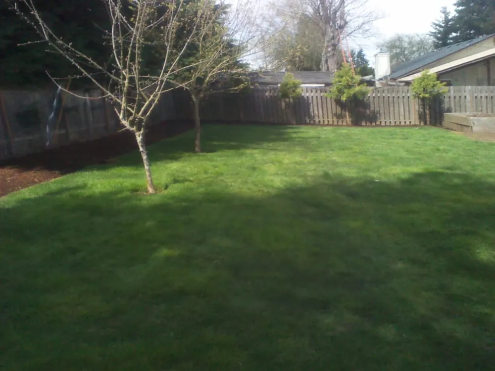 Reliable outdoor landscaping in Eugene, OR by Beautiful House Lawn Care