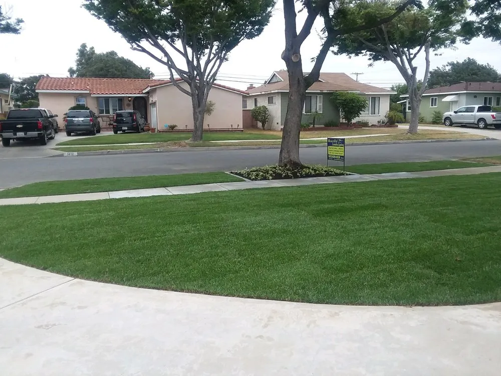 Custom landscape installation in Paramount, CA - Beautiful Landscape Company LLC
