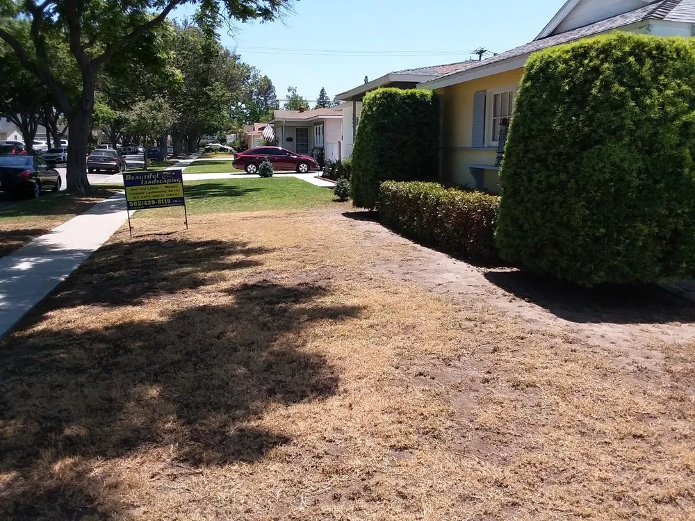 Affordable landscape design experts serving Paramount, CA - Beautiful Landscape Company LLC