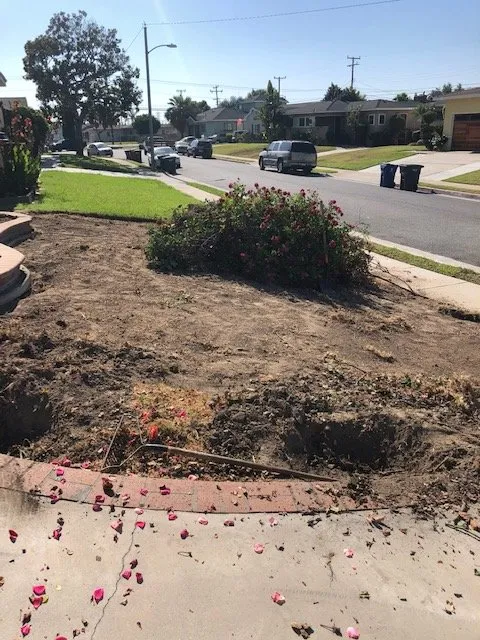 Custom yard maintenance experts serving Paramount, CA - Beautiful Landscape Company LLC