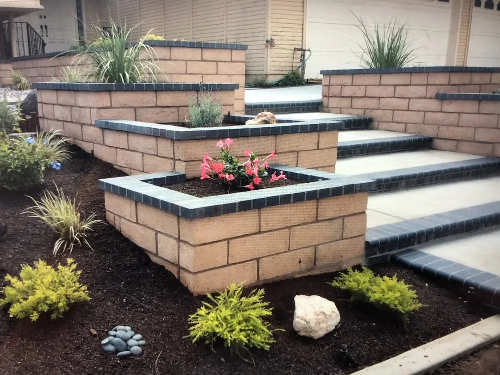 Top-rated lawn care service in Paramount, CA by Beautiful Landscape Company LLC