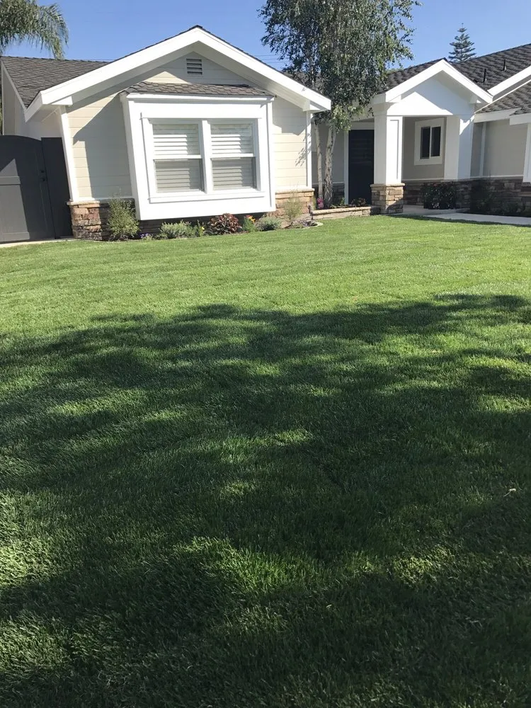 Top-rated landscape installation in Paramount, CA - Beautiful Landscape Company LLC
