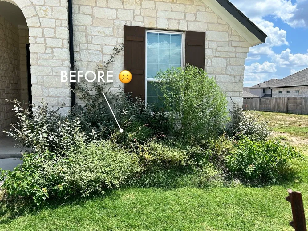 Top-rated landscape installation in Round Rock, TX - Beautiful Landscapes & Irrigation