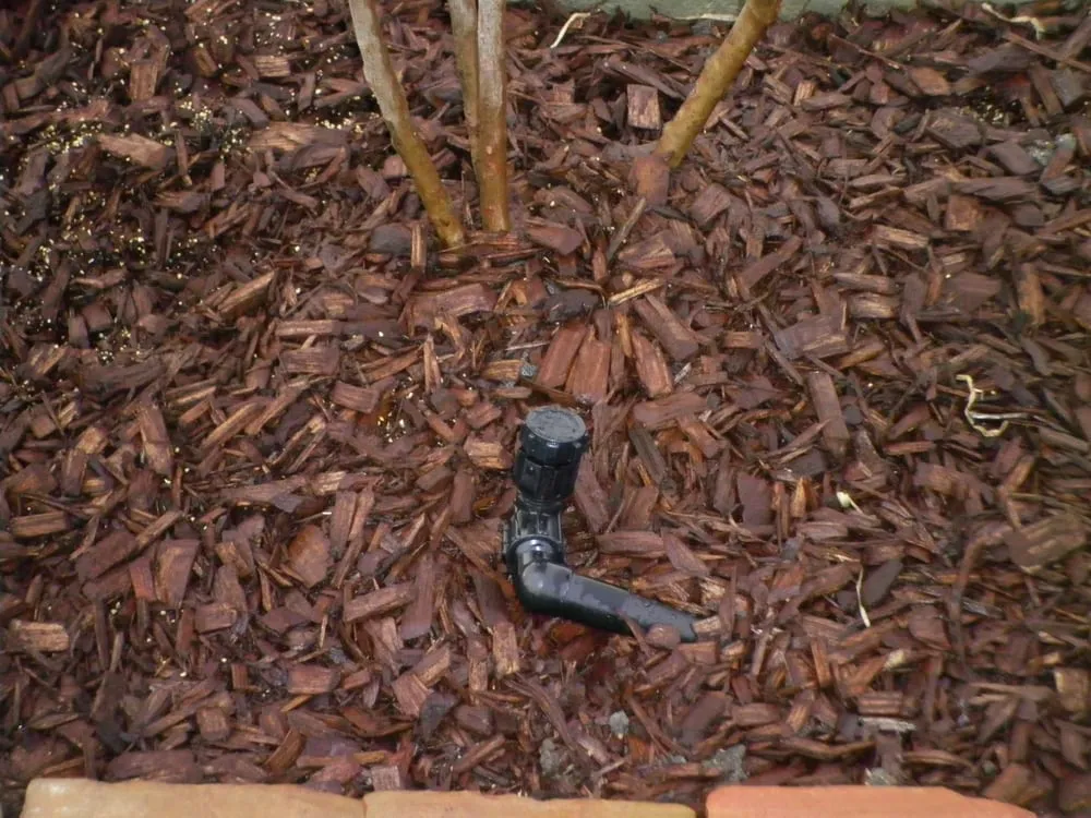 Trusted outdoor landscaping in Round Rock, TX - Beautiful Landscapes & Irrigation