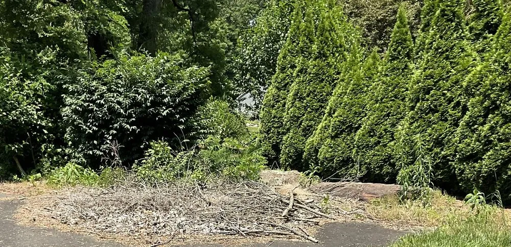 Reliable residential landscaping in Springfield, MA by Beautiful Landscaping & Construction