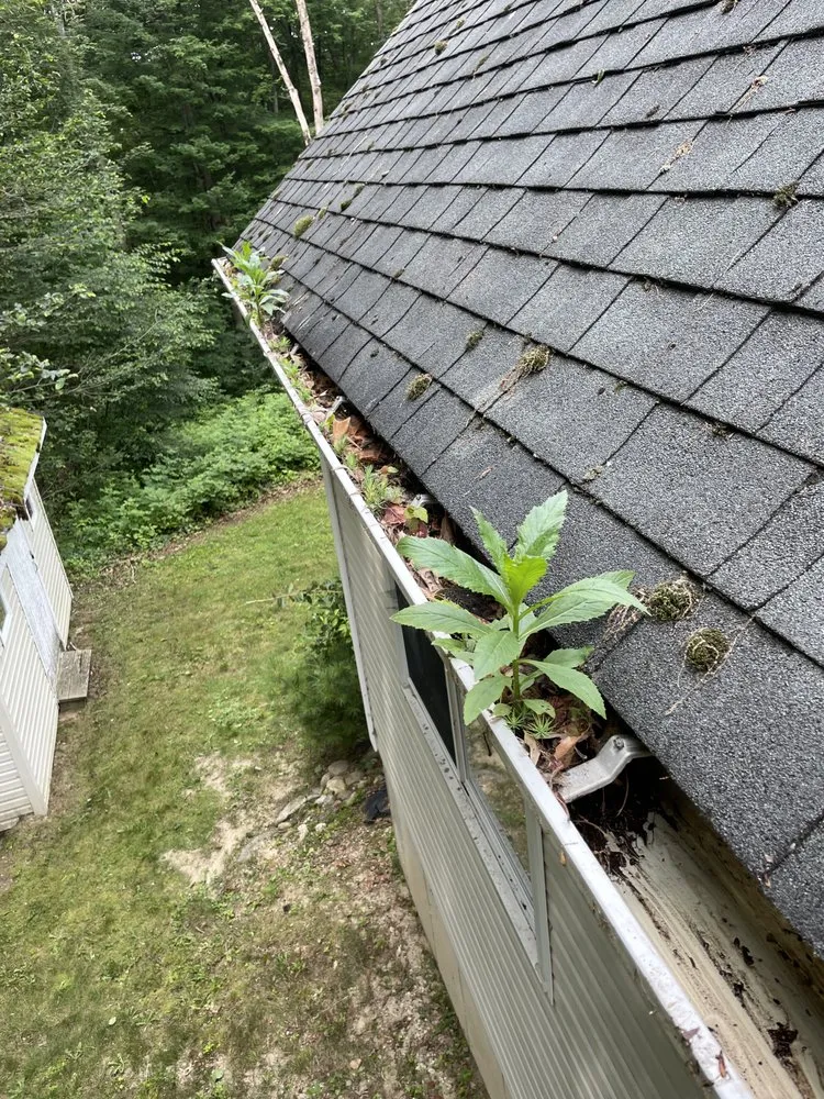 Reliable residential landscaping for homes in Springfield, MA by Beautiful Landscaping & Construction