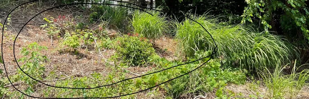 Professional landscaping services for beautiful yards across Springfield, MA - Beautiful Landscaping & Construction