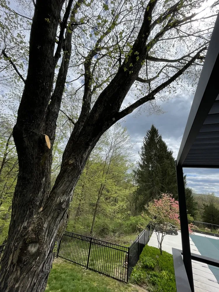 Local landscape installation experts serving Springfield, MA - Beautiful Landscaping & Construction