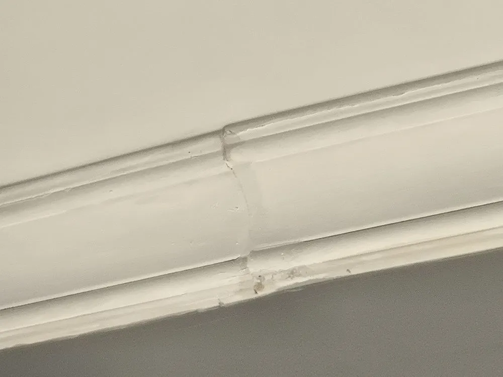 Custom yard maintenance for homes in Springfield, MA by Beautiful Landscaping & Construction