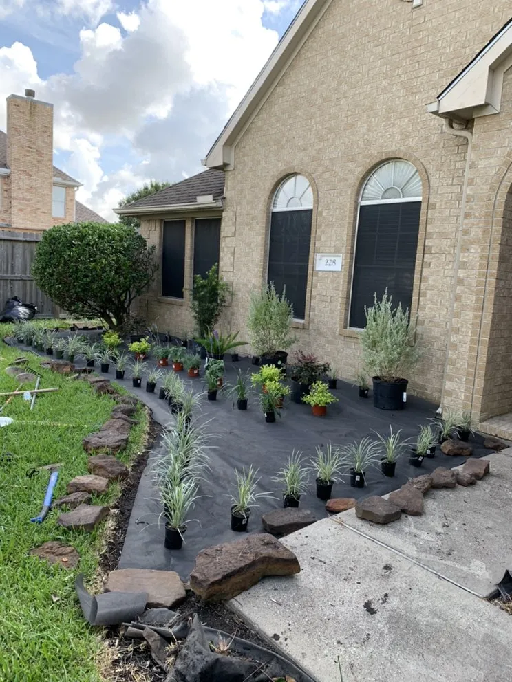 Professional yard maintenance in Webster, TX - Beautiful Landscaping& Tree service