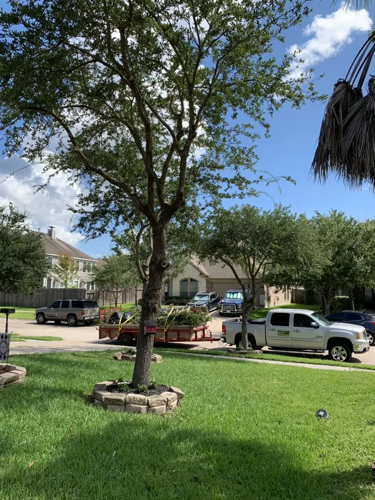 Expert landscape installation in Webster, TX - Beautiful Landscaping& Tree service