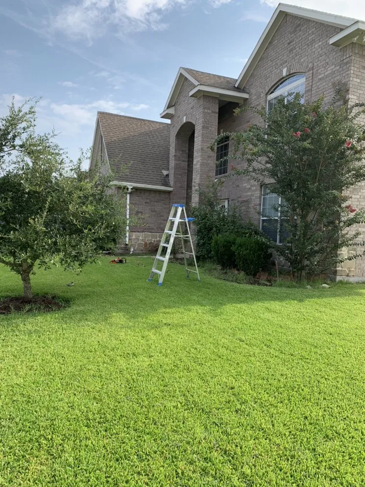 Reliable lawn mowing service experts serving Webster, TX - Beautiful Landscaping& Tree service