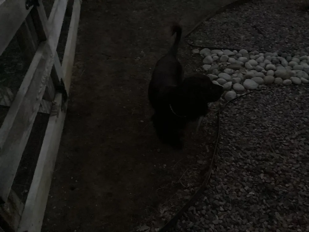 Trusted landscaping services in Denver, CO - Beautiful Lawn and Landscape