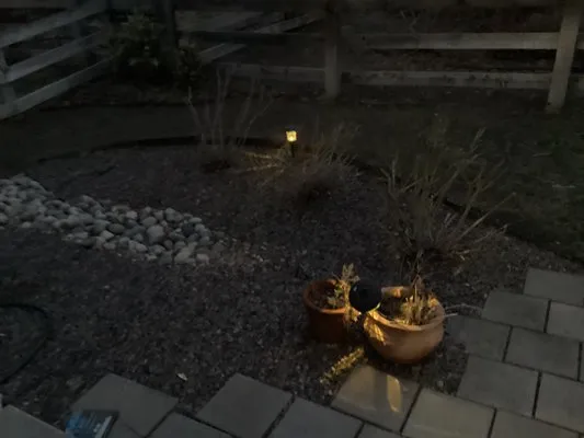 Beautiful Lawn and Landscape