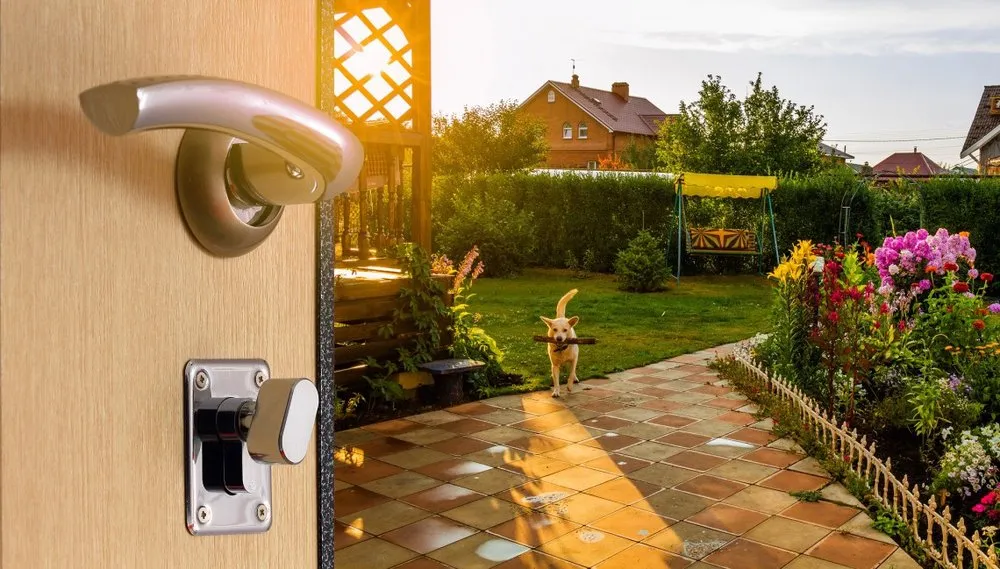 Expert yard cleanup service in Aurora, IL by Beautiful Lawn And Tree Care