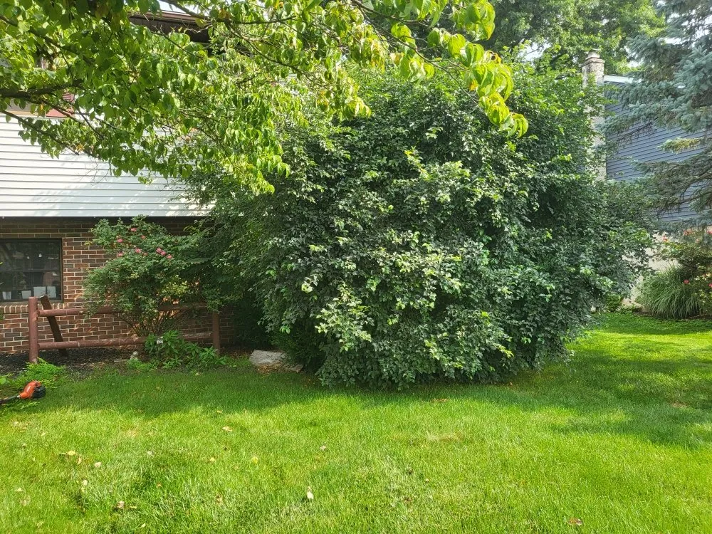 Professional landscape design near you in Mountville, PA by Beautiful Lawn Care