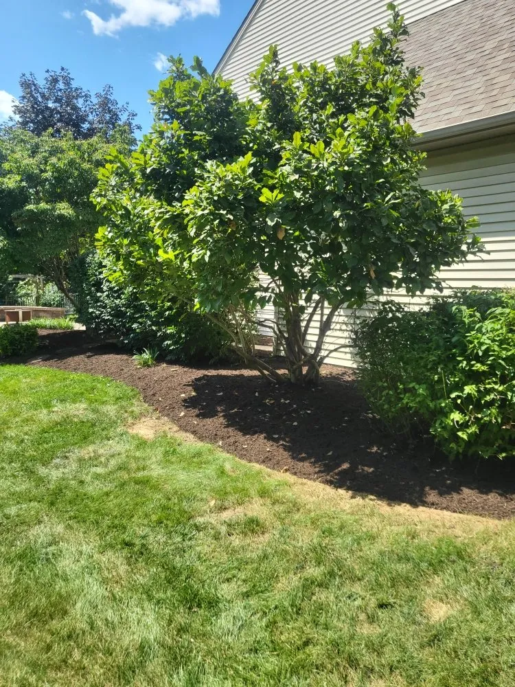 Trusted yard cleanup service in Mountville, PA by Beautiful Lawn Care