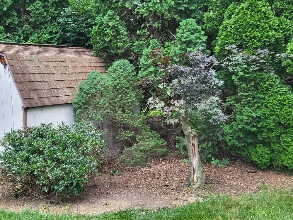 Reliable yard maintenance for residential properties in Mountville, PA by Beautiful Lawn Care