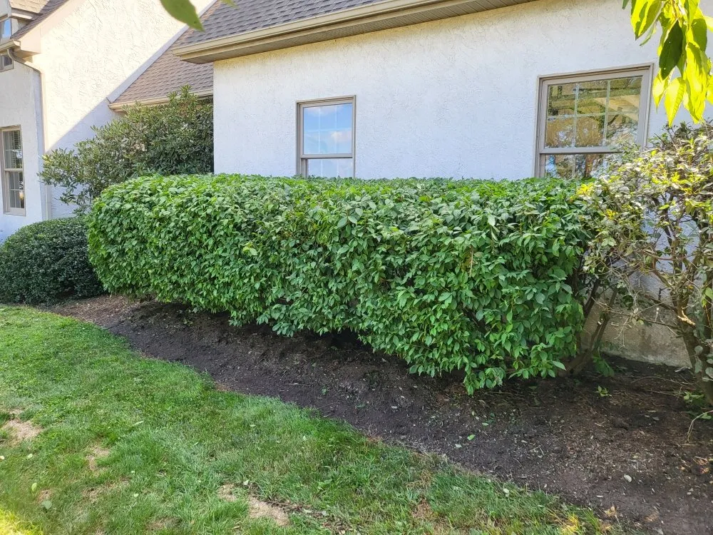 Professional garden landscaping for homes across Mountville, PA - Beautiful Lawn Care