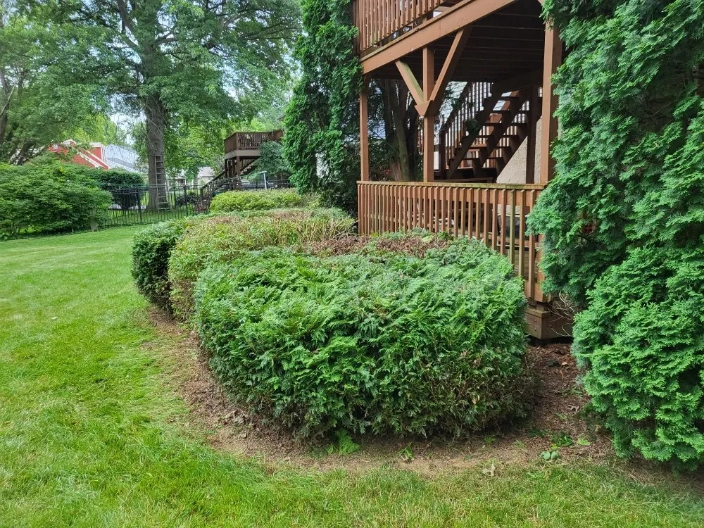 Trusted yard maintenance in Mountville, PA - Beautiful Lawn Care