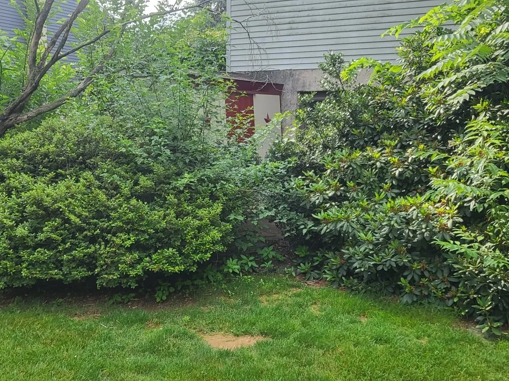 Affordable lawn care service in Mountville, PA - Beautiful Lawn Care