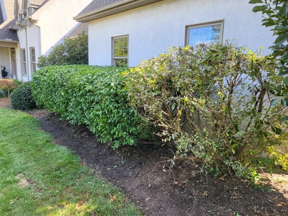 Reliable yard cleanup service experts serving Mountville, PA - Beautiful Lawn Care