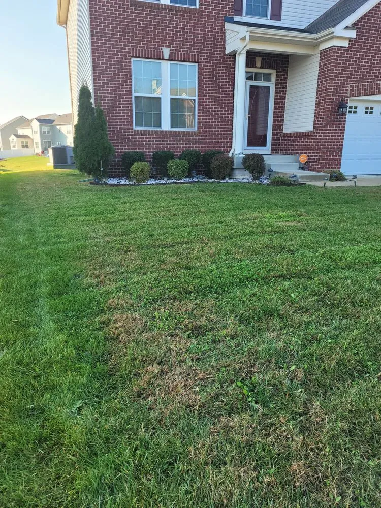 Expert lawn care service in Abingdon, MD - Beautiful Lawns by Ola