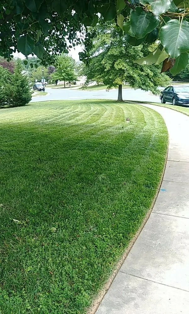 Professional landscape installation in Abingdon, MD - Beautiful Lawns by Ola