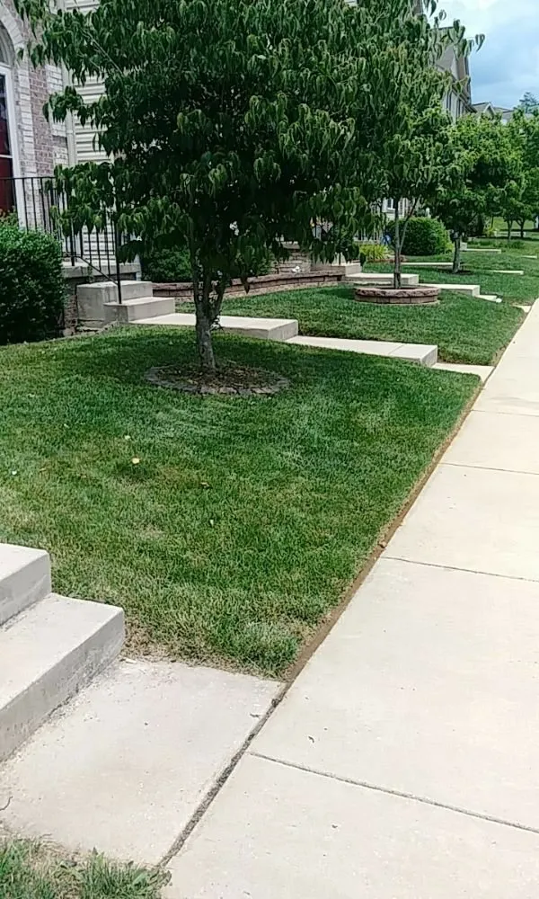 Local landscape design experts serving Abingdon, MD - Beautiful Lawns by Ola