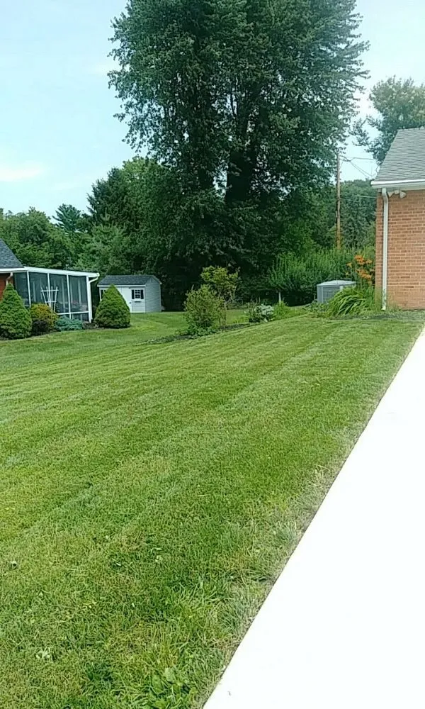 Expert landscaping services in Abingdon, MD by Beautiful Lawns by Ola
