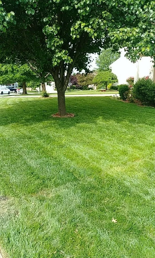 Affordable landscaping services for outdoor upgrades in Abingdon, MD by Beautiful Lawns by Ola