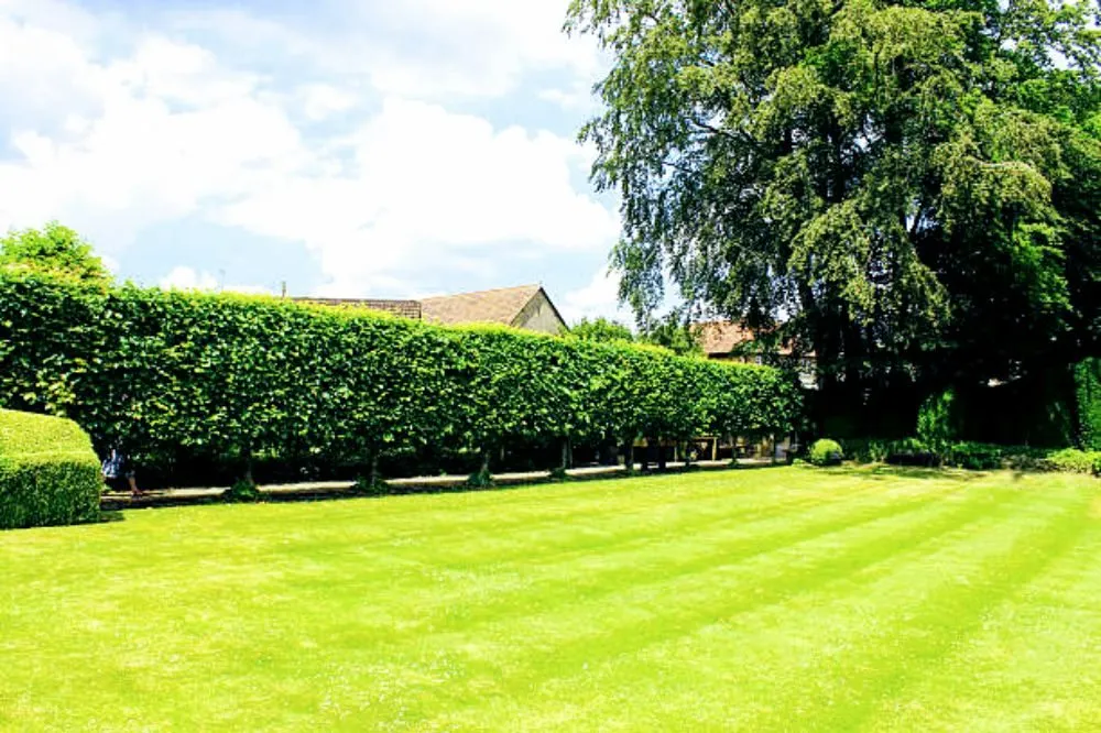 Local lawn care service for year-round maintenance across Abingdon, MD - Beautiful Lawns by Ola