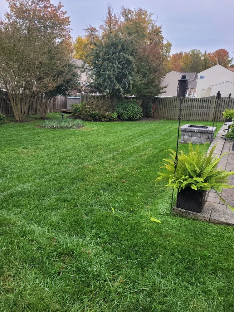 Expert garden landscaping for year-round maintenance across Abingdon, MD - Beautiful Lawns by Ola