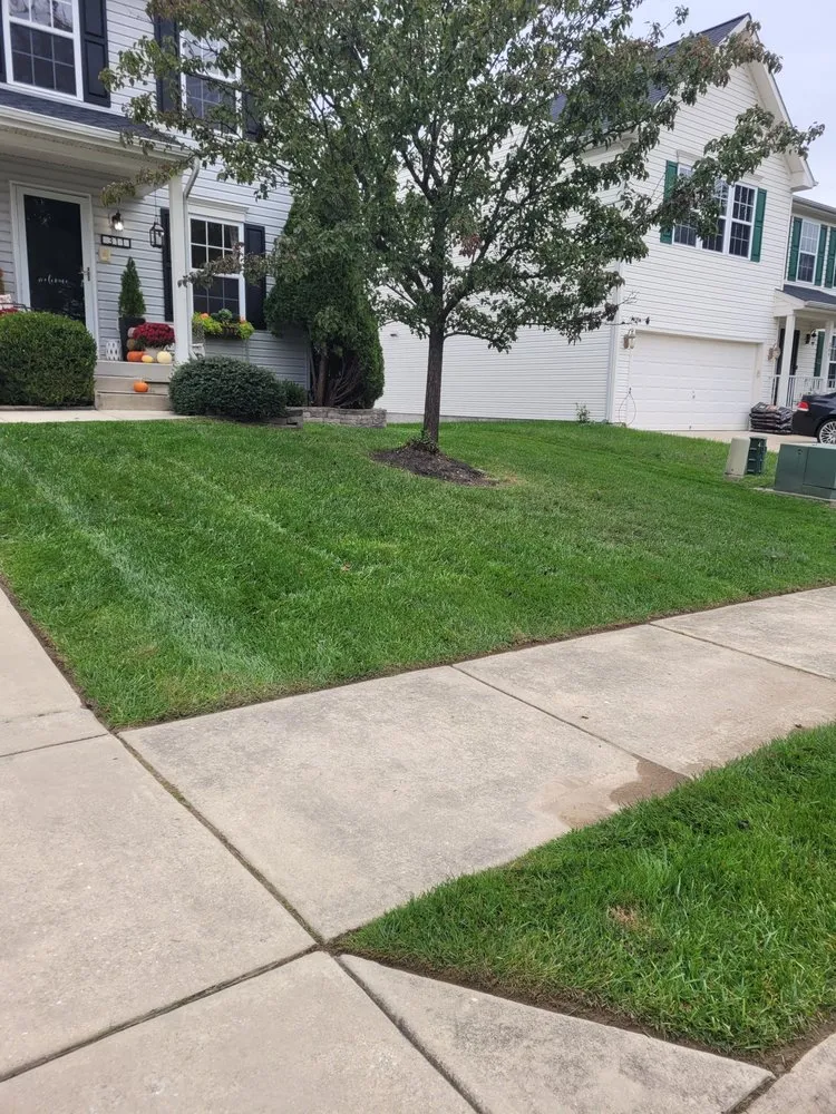 Professional lawn care service in Abingdon, MD by Beautiful Lawns by Ola
