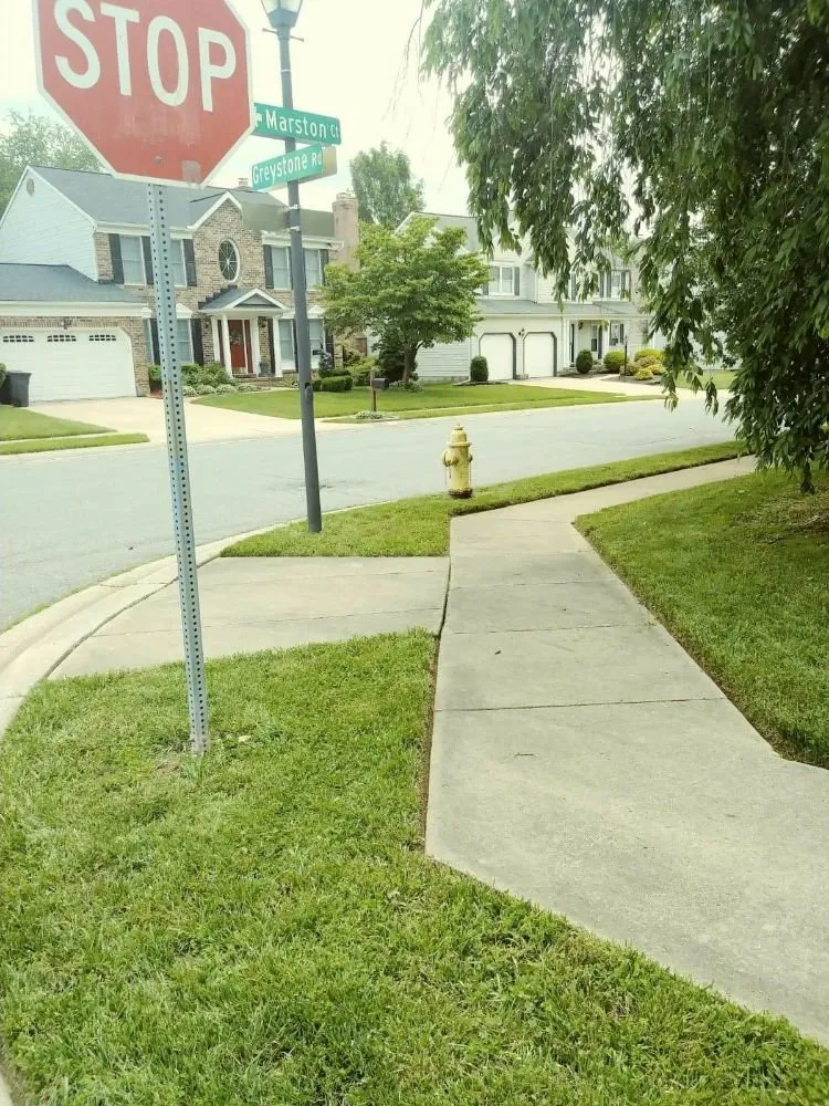 Trusted yard maintenance experts serving Abingdon, MD - Beautiful Lawns by Ola