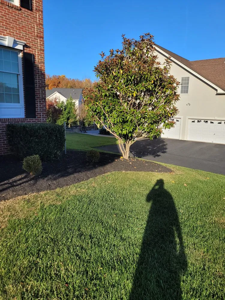 Local landscape design in Abingdon, MD by Beautiful Lawns by Ola