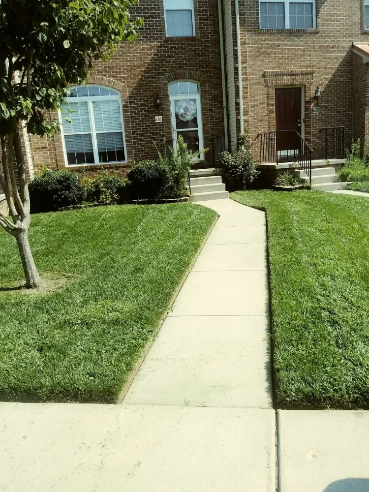Expert lawn mowing service in Abingdon, MD - Beautiful Lawns by Ola