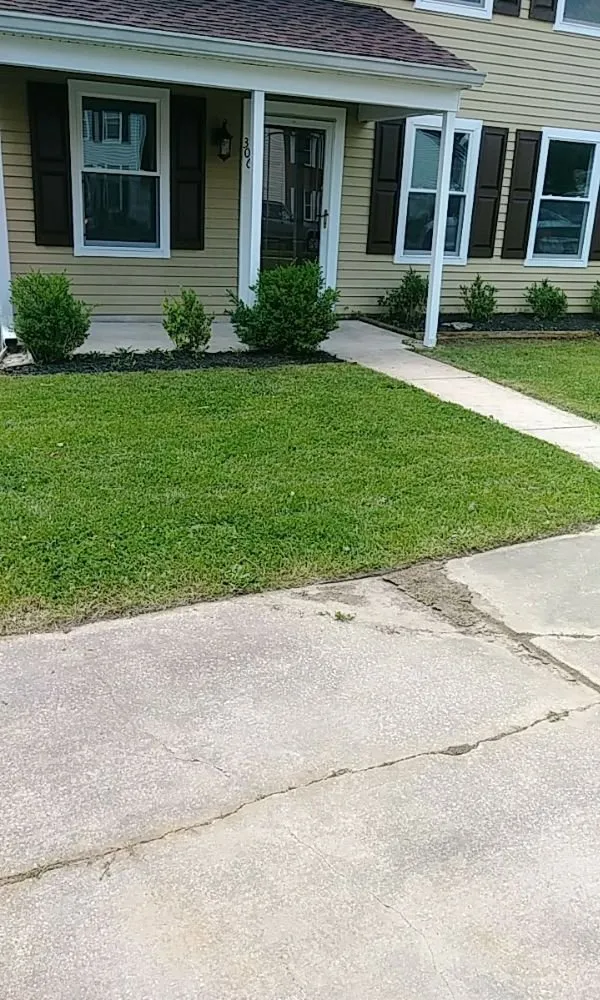 Top-rated yard cleanup service in Abingdon, MD by Beautiful Lawns by Ola