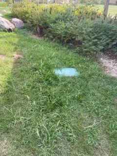 Top-rated yard maintenance in Des Moines, IA by Beautiful Lawns