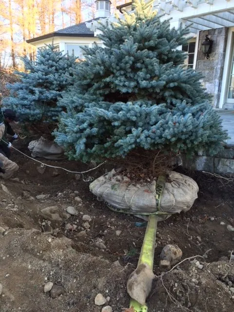 Top-rated landscaping services with custom design in Closter, NJ by Beautiful Outdoors